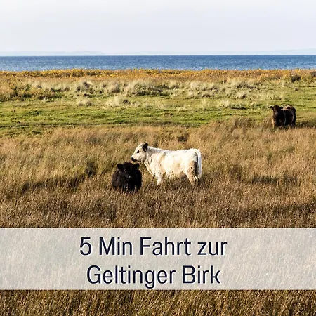 Ferienhaus Topferhaus: Beach-Close Pet-Friendly Retreat with Workation Amenities Steinberg  Exterior photo