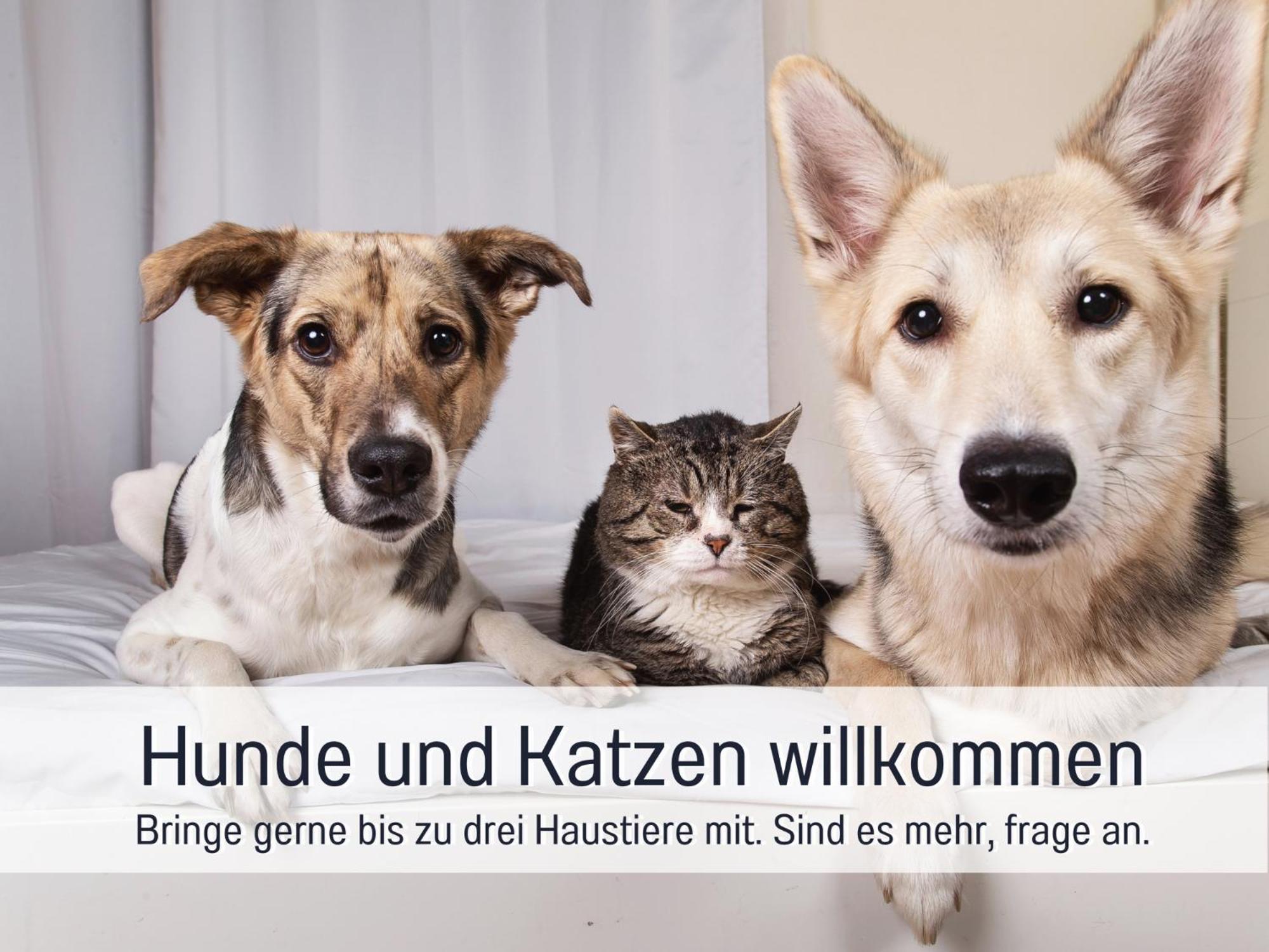Topferhaus: Beach-close Pet-friendly Retreat With Workation Amenities Holiday home