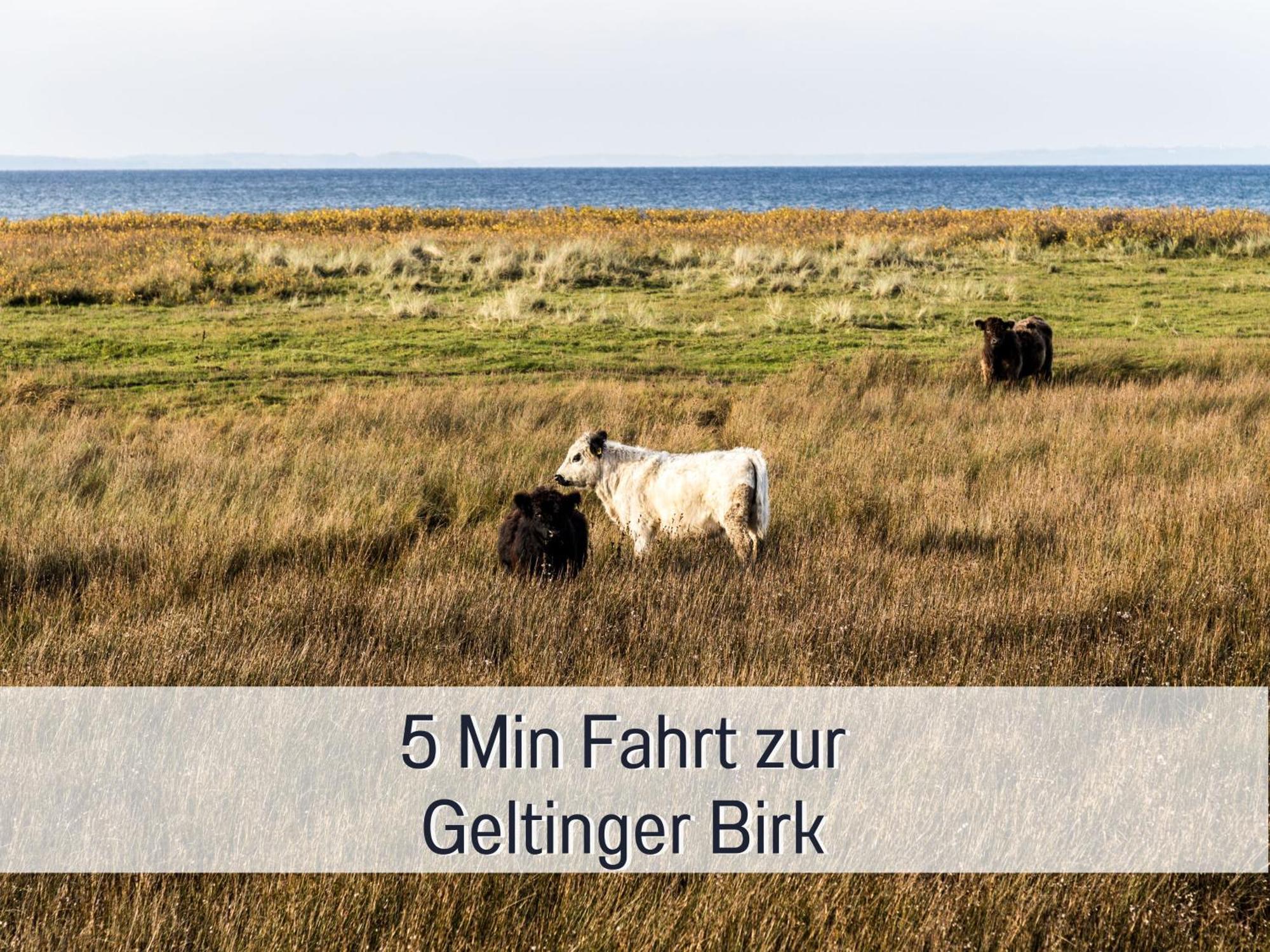 Topferhaus: Beach-close Pet-friendly Retreat With Workation Amenities * Steinberg (Schleswig-Holstein)